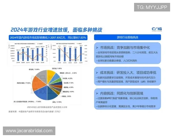千龙网入刑事件对网络信息安全的影响及游戏行业应对策略探讨