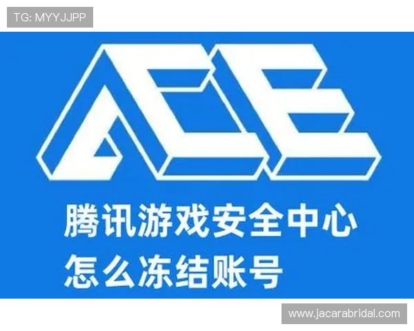 必赢客户端安全性分析与优化建议，保障玩家账号信息安全与游戏环境稳定